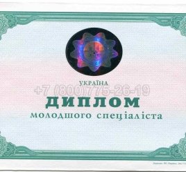 Диплом Техникума Украины 2005г в Ростове-на-Дону