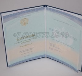 Диплом Колледжа 2023г СпецБланк в Ростове-на-Дону